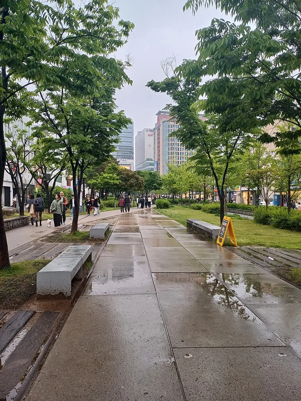 비 온 뒤 젖은 경의선숲길 산책로와 벤치
