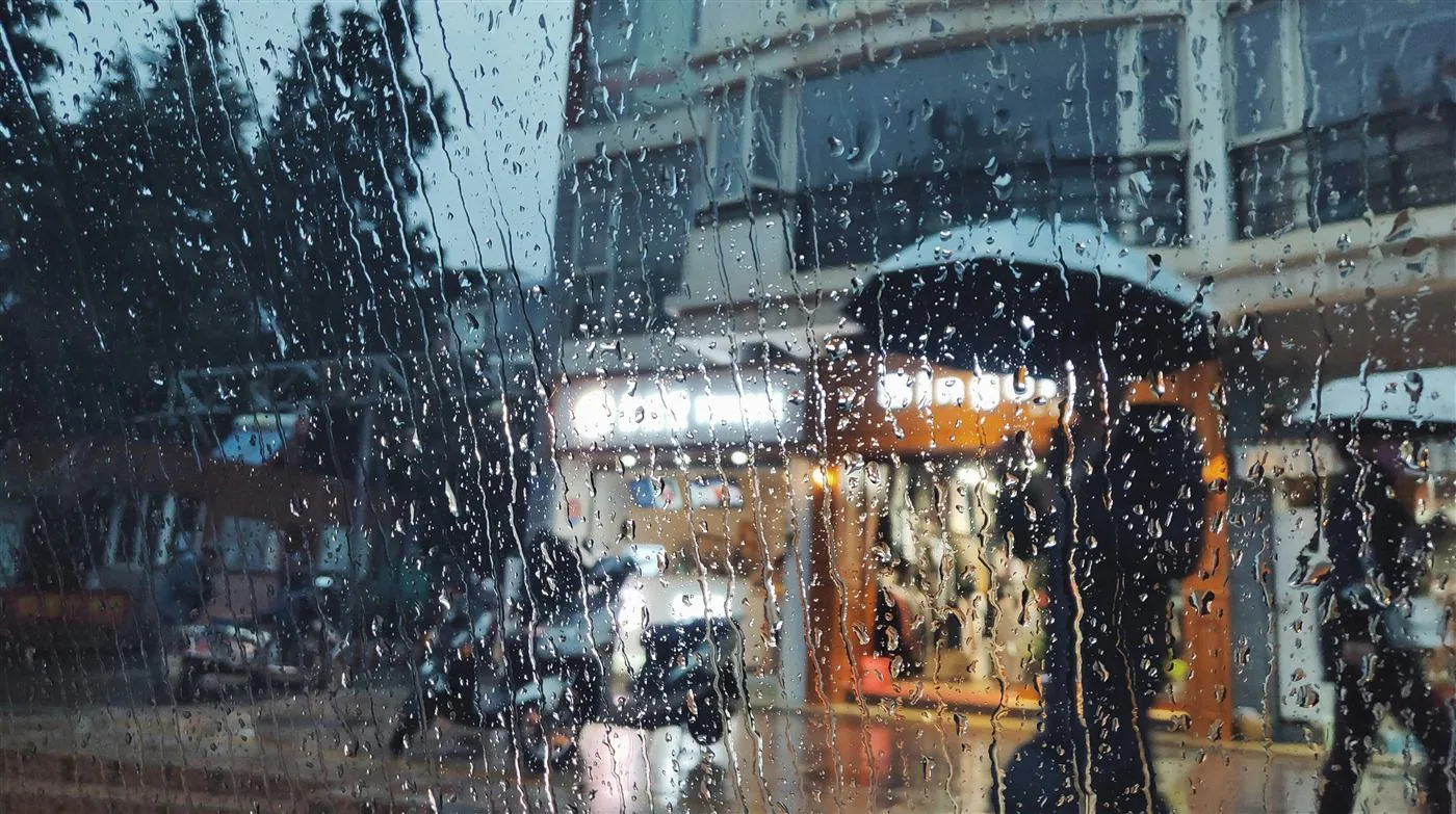 우산을 쓰고 걸어가는 사람들