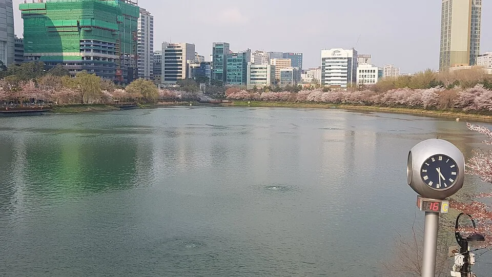 벚꽃이 핀 석촌호수 가장자리